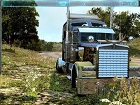 blinker